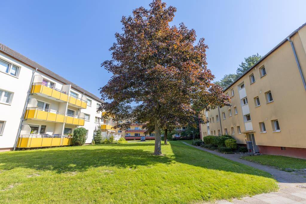 Geräumige 3-Zimmer-Wohnung in Flensburg Mürwik – 24944 Flensburg – Vorschaubild 3