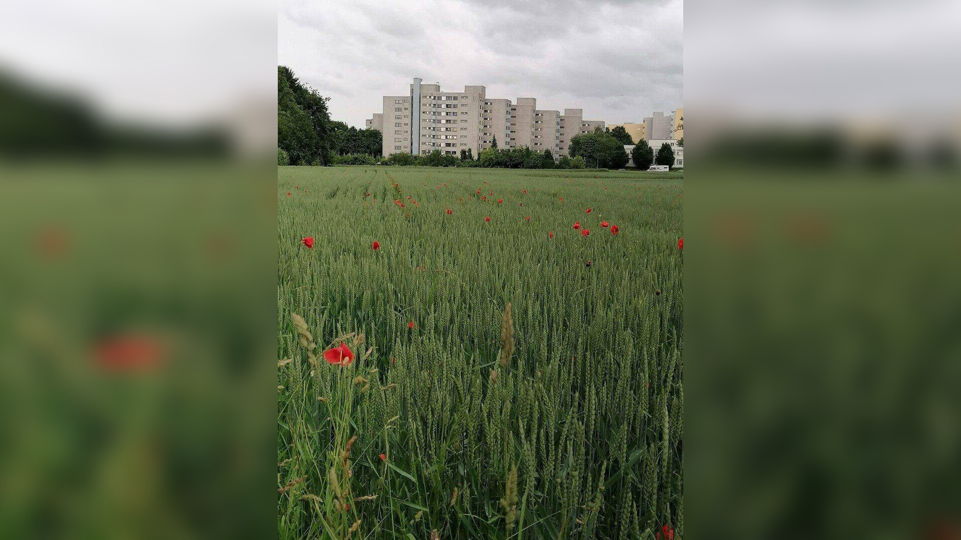 Sonnige 95 qm 3,5 Zimmer Wohnung mit Panoramablick in Möhringen – 70567 Stuttgart – Vorschaubild 3