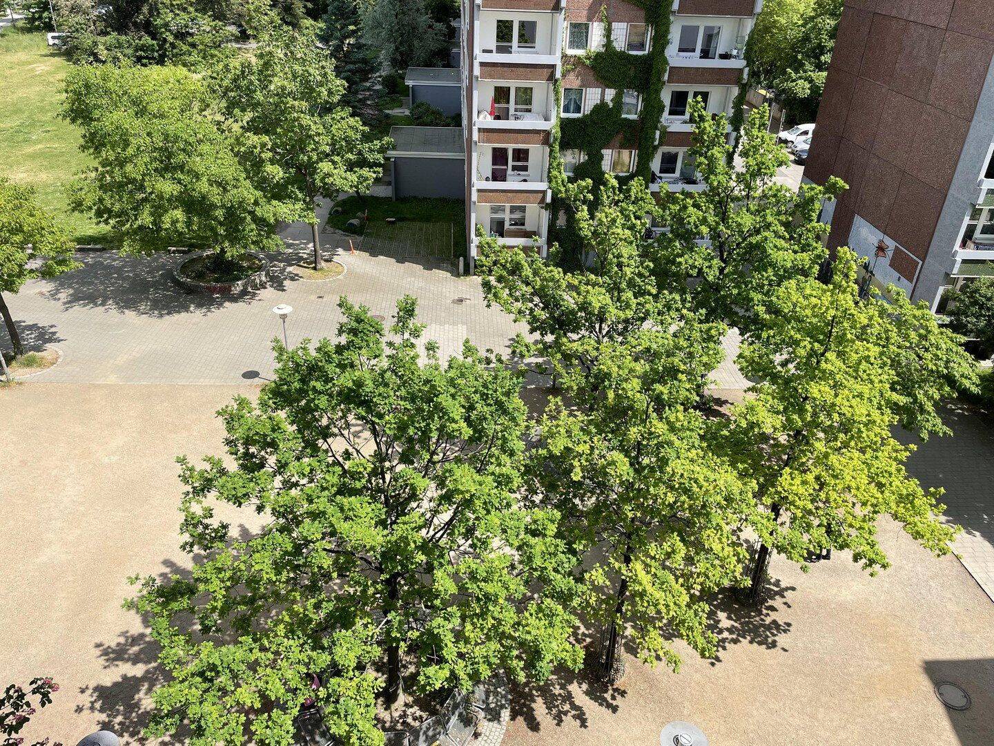 Schöne, helle 1,5-Zimmer Whg. 33,7 m² incl. Tiefgaragenplatz, Leipzig-Grünau – Leipzig – Vorschaubild 4