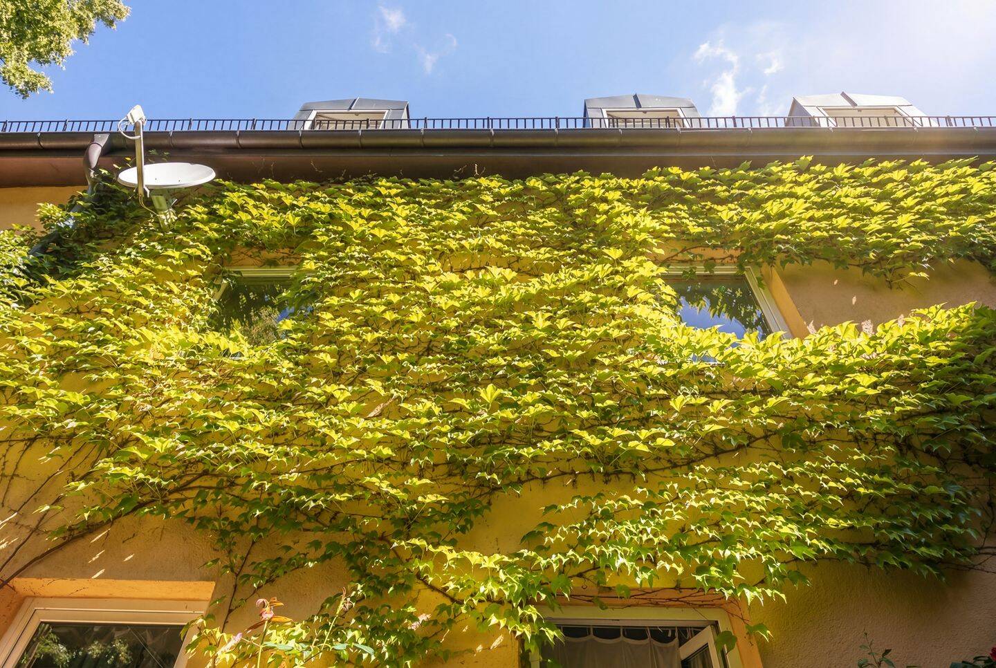 Lebhaftes Westend: Charmante 2-Zimmer-Wohnung in ruhiger Innenhoflage – 80339 München – Vorschaubild 3