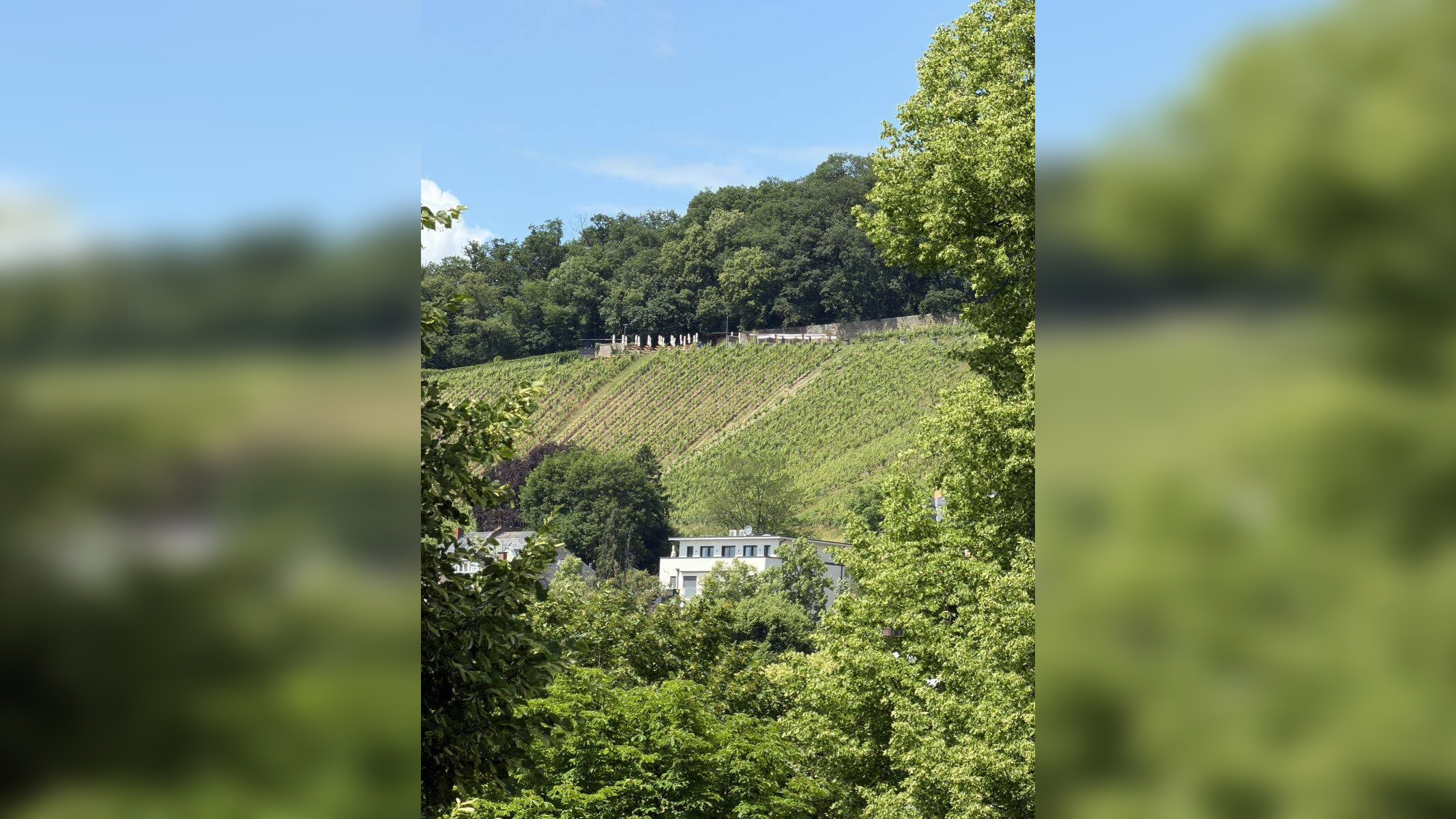Seltene Gelegenheit! Nerotal: 116 m² in bester Lage von Wiesbaden! 4 Zi, 2 Bäder, 2 Balkone, Garage – 65193 Wiesbaden – Vorschaubild 3
