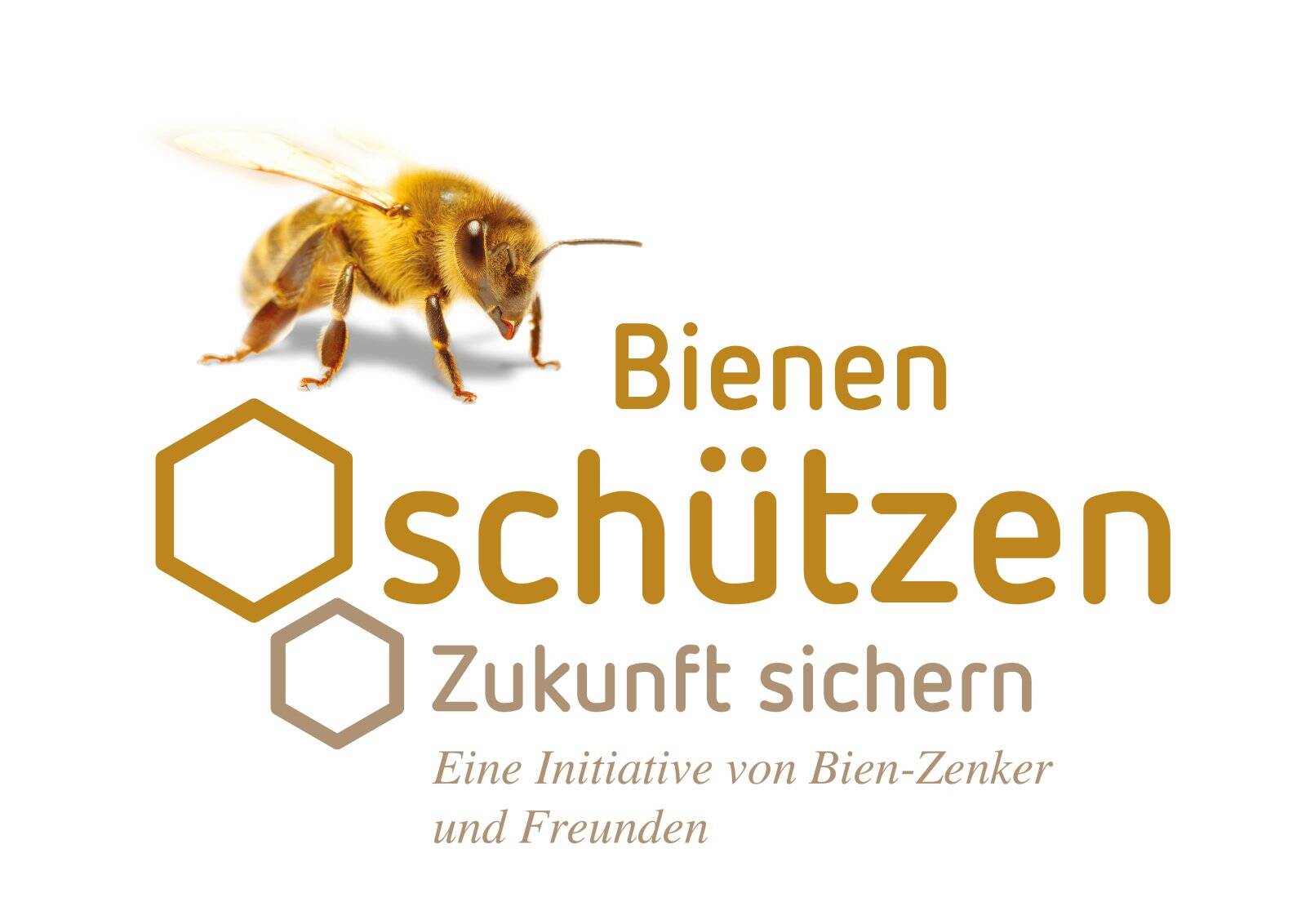 Viel Platz für Ihre Familieinkl. Grundstück – 26125 Oldenburg (Oldb) – Vorschaubild 4