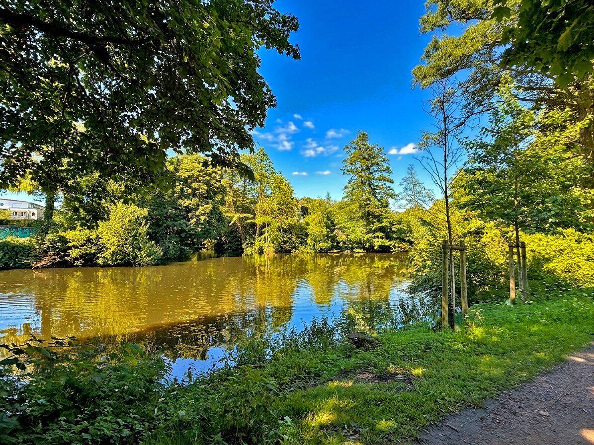 Eigentumswohnung zum Kauf in Hamburg Alsterdorf mit Blick auf den Alsterlauf – Wentzel Dr. – 22297 Hamburg – Vorschaubild 9