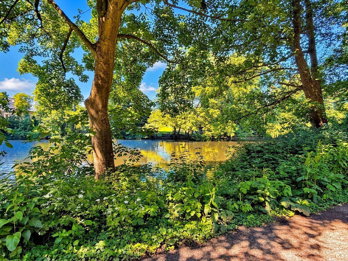 Eigentumswohnung zum Kauf in Hamburg Alsterdorf mit Blick auf den Alsterlauf – Wentzel Dr. – 22297 Hamburg – Vorschaubild 11