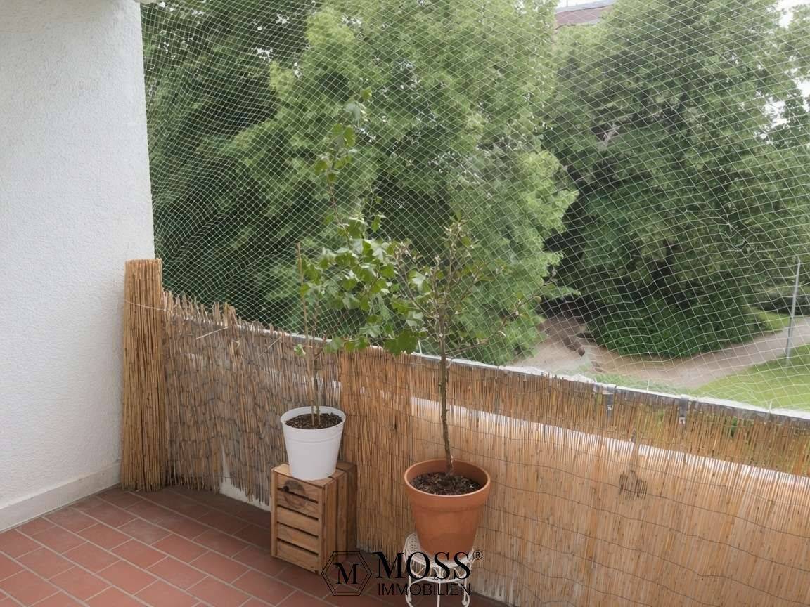 Provisionsfrei: Gepflegte, energieeffiziente 3-Zimmer-Wohnung im 1. Obergeschoss mit Balkon – 79111 Freiburg im Breisgau – Vorschaubild 4
