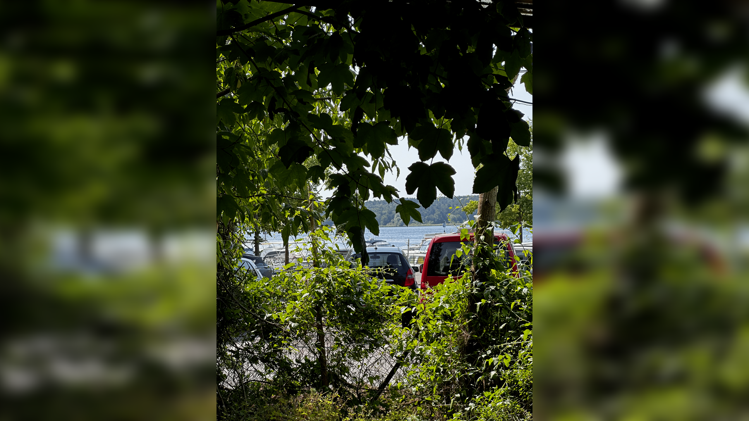 1. Reihe am Wannsee mit Seeblick – 14089 Berlin – Vorschaubild 3