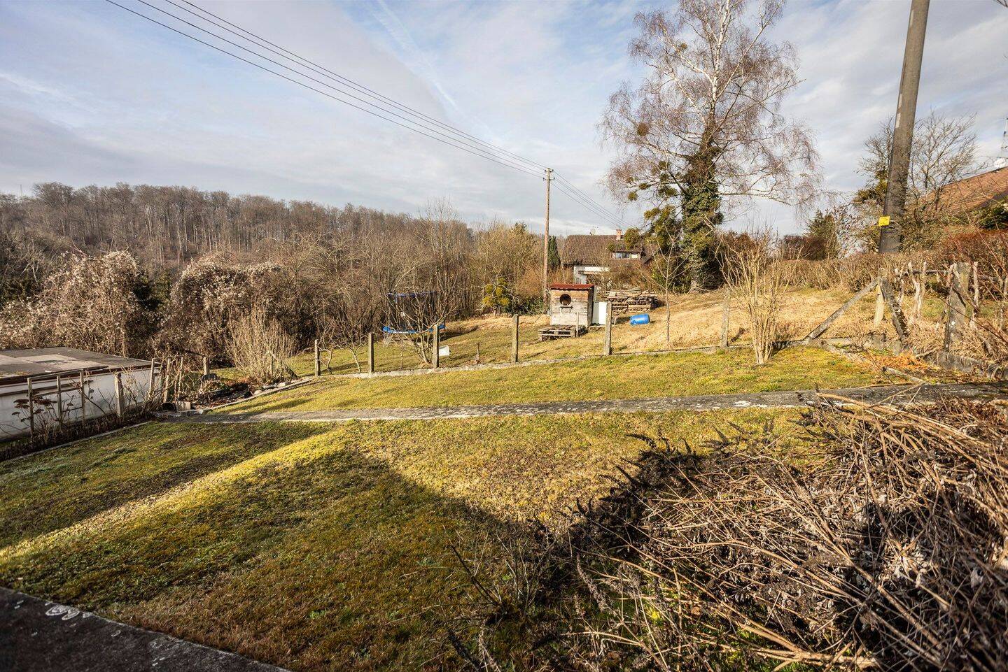 Bild 12