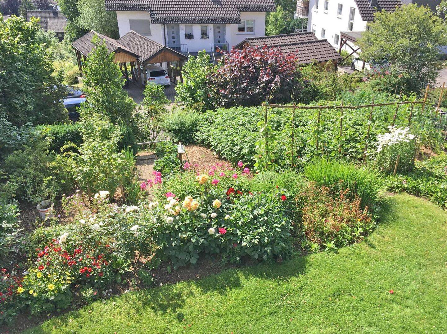 Bild 4