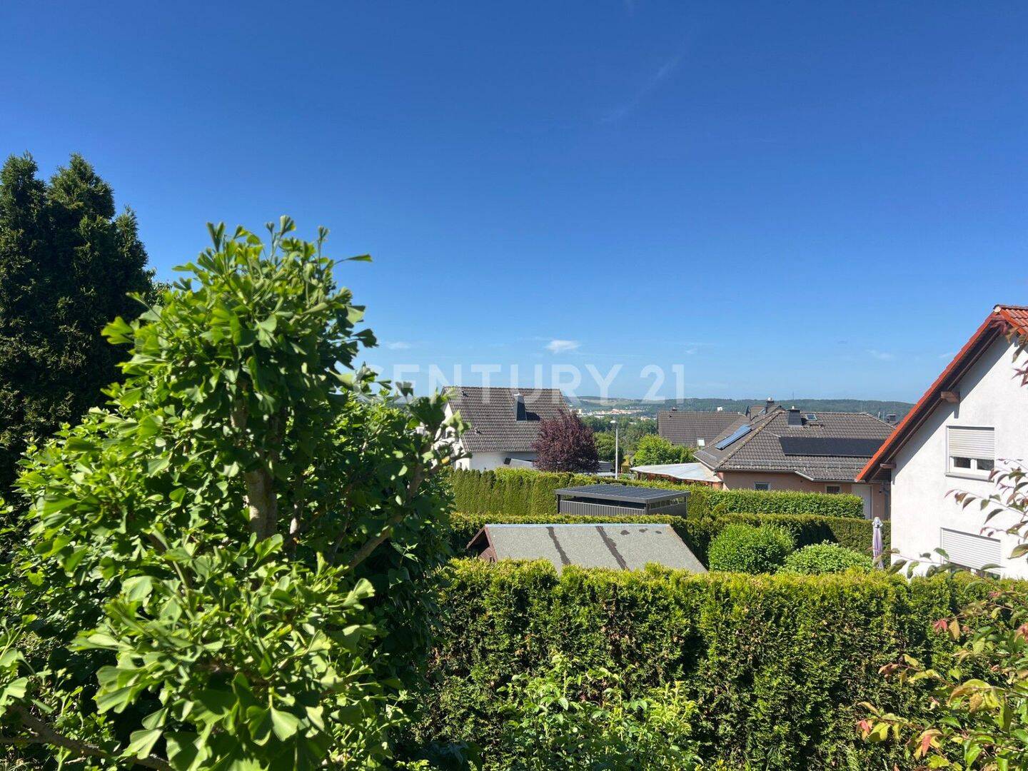 Bild 12