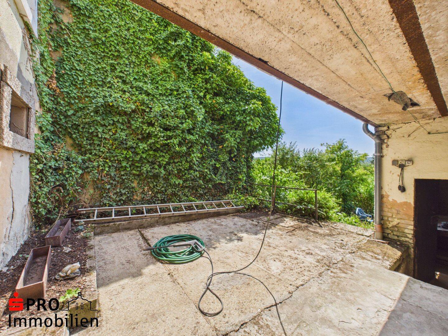 Bild 12