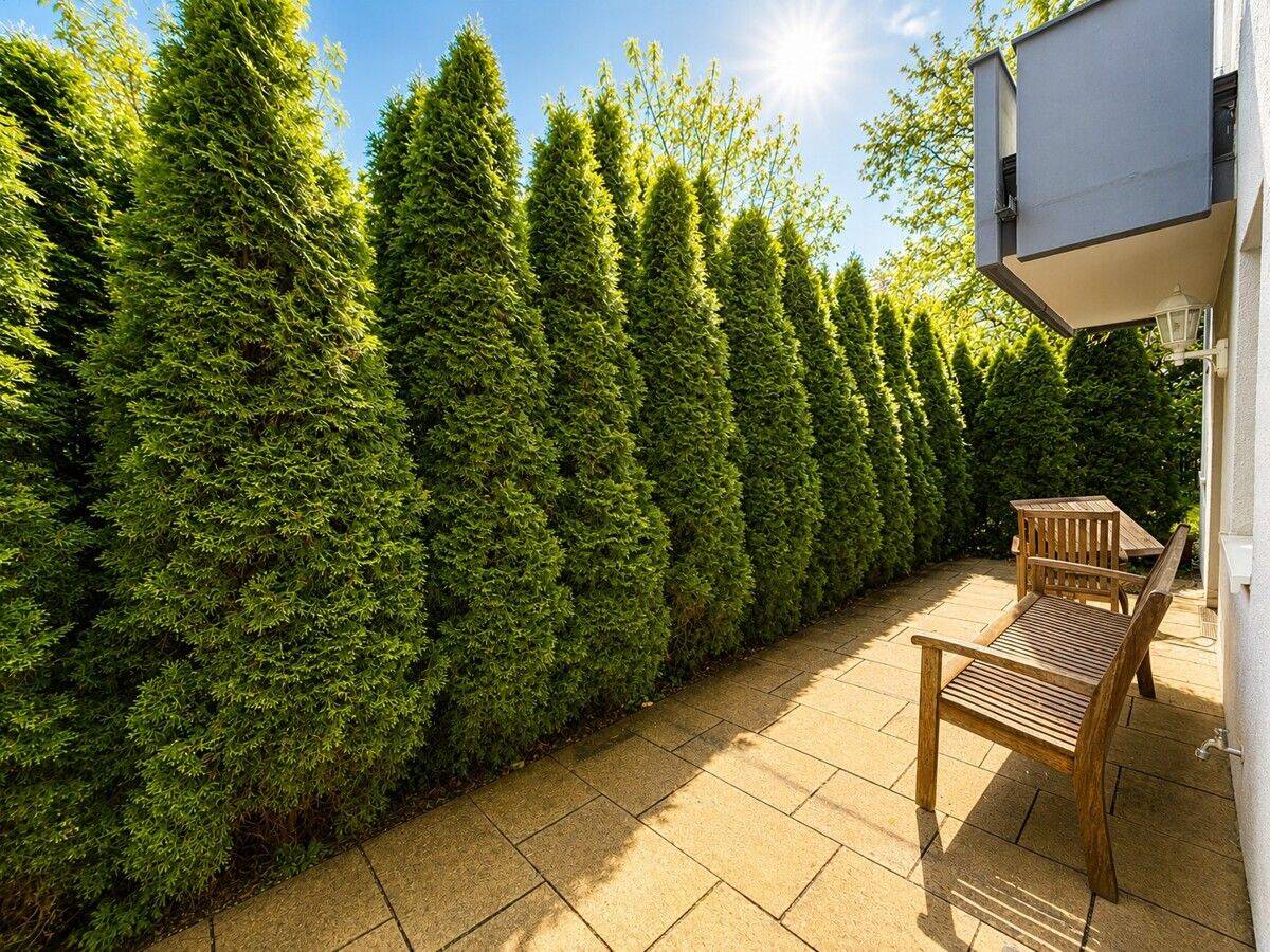 Wunderschöne neue Terrassen-Garten-Wohnung, nach Westen ausgerichtet und mit Einbauküche in Moosach – 80992 München – Vorschaubild 3