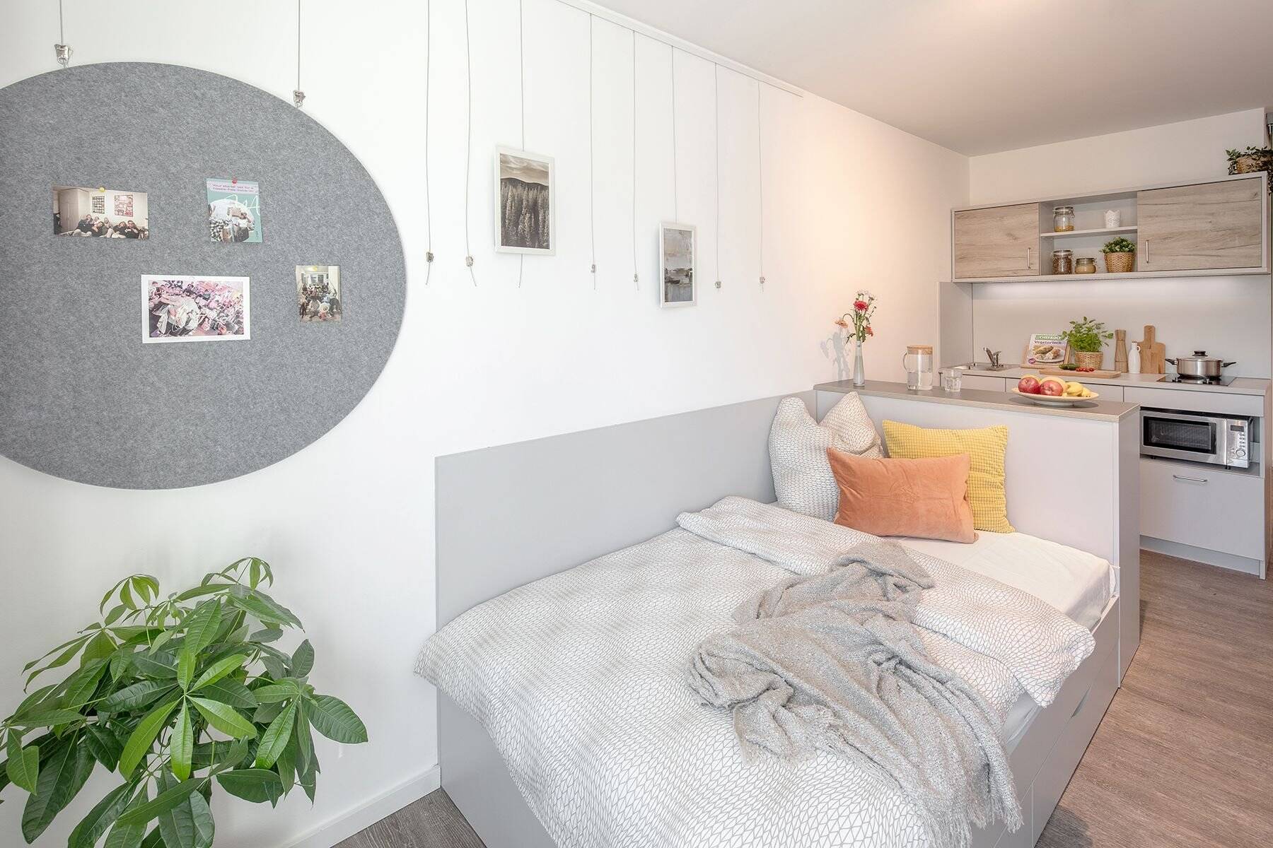 THE FIZZ Hannover – Vollmöblierte Apartments für Studenten im Unibezirk in der Nordstadt – Hannover – Vorschaubild 3