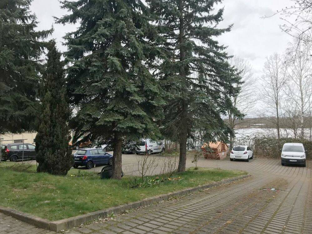 Hoppla, wie süß! Perfekte Wohnung für den Start in Chemnitz *bezugsfrei* – Chemnitz – Vorschaubild 9