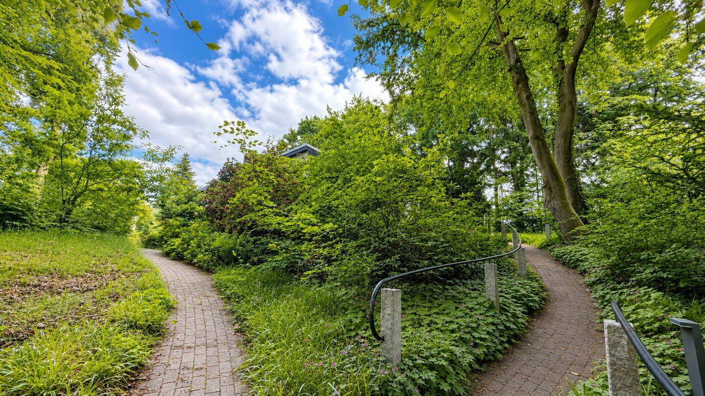 Bungalow in bester Lage an der Fischbeker Heide – 21149 Hamburg – Vorschaubild 4