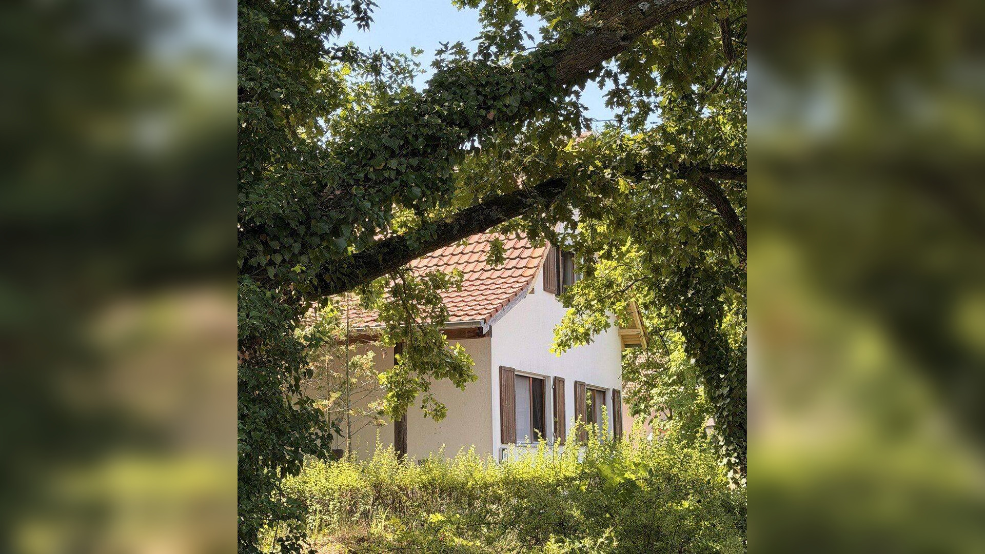 Freistehendes Einfamilienhaus mit Photovoltaikanlage auf sonnigem Grundstück in Berlin-Wittenau – 13403 Berlin – Vorschaubild 3