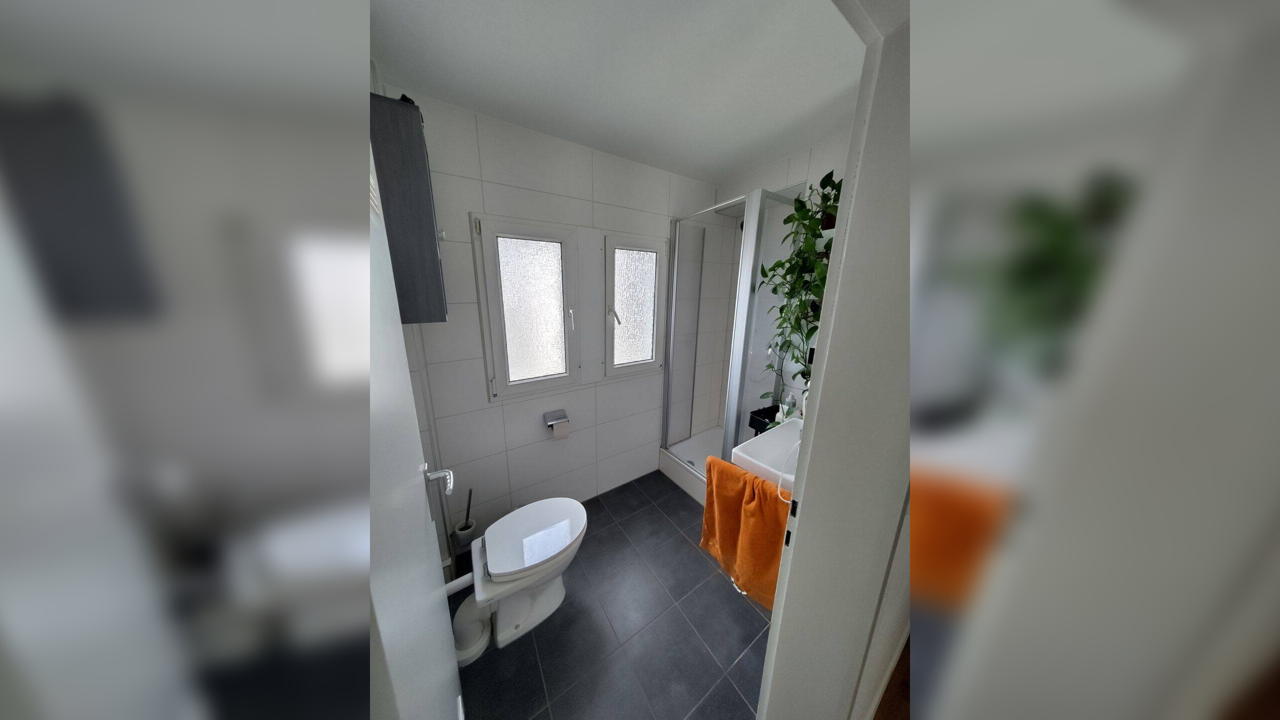 Helle Dachgeschosswohnung nahe Innenstadt – 54290 Trier – Vorschaubild 3