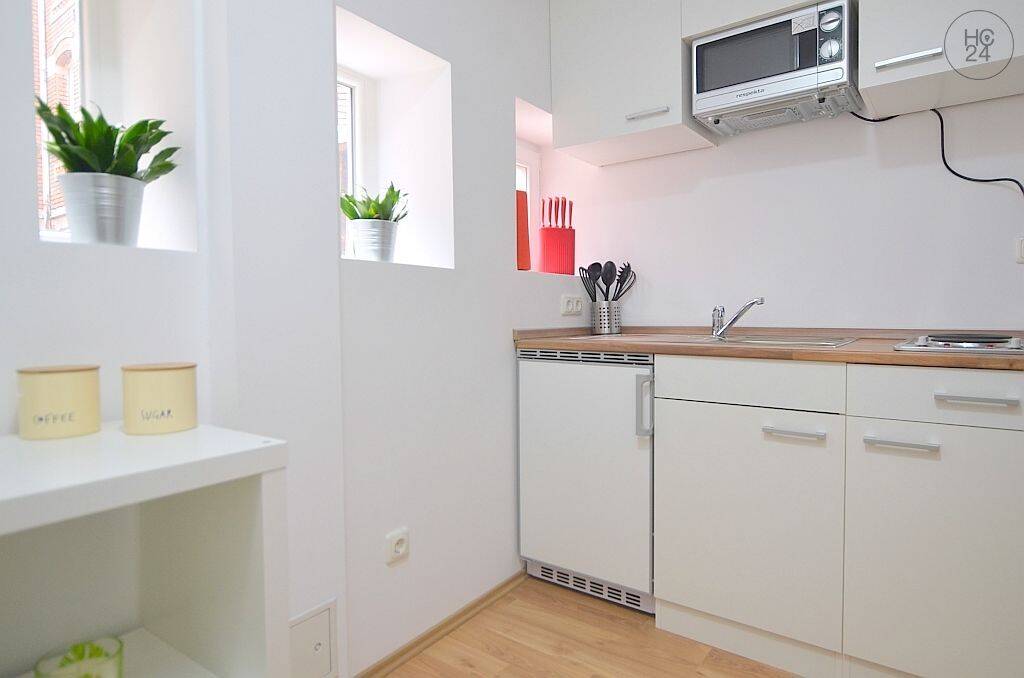 Modern möbliertes 1-Zimmer-Apartment mit WLAN in Fürth Mitte – 90763 Fürth – Vorschaubild 4