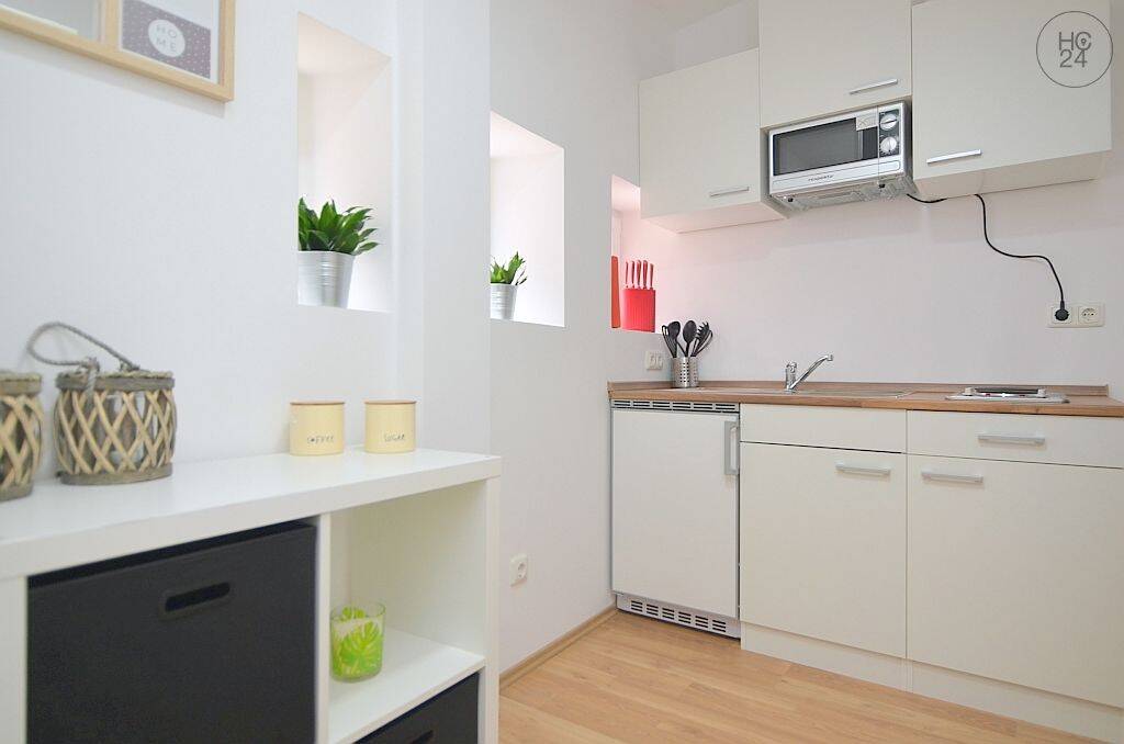Modern möbliertes 1-Zimmer-Apartment mit WLAN in Fürth Mitte – 90763 Fürth – Vorschaubild 10