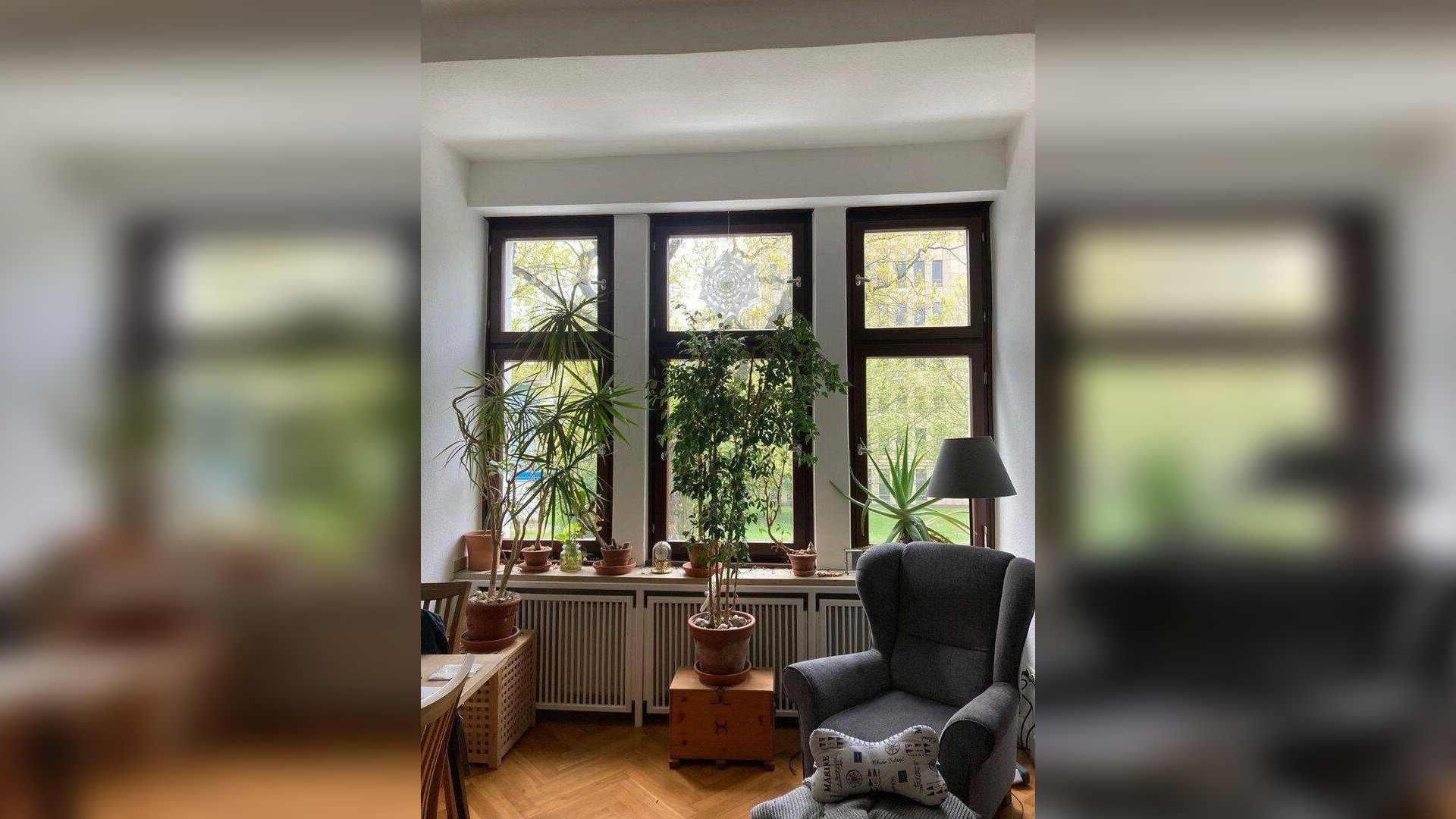 Altbau mit viel Platz in Düsseltal – 40239 Düsseldorf – Vorschaubild 3