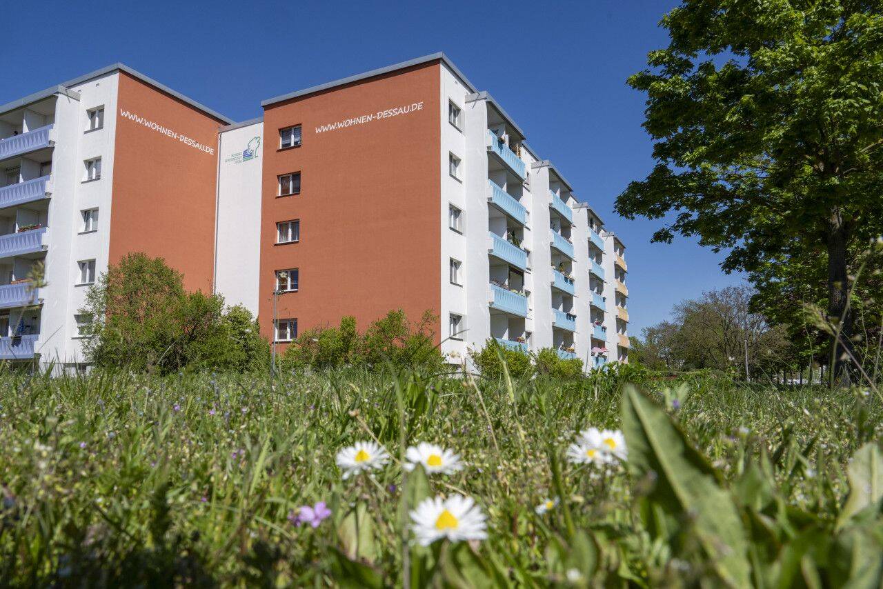 Bild 4