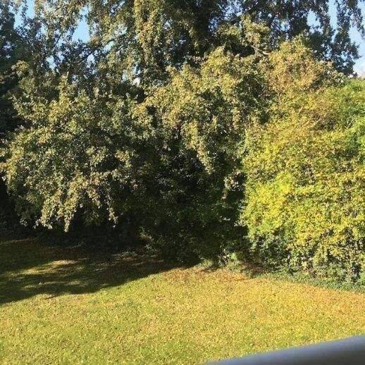 … wohnen in Horn-Lehe +++ LICHT/GRÜN/RUHE – 28357 Bremen – Vorschaubild 3