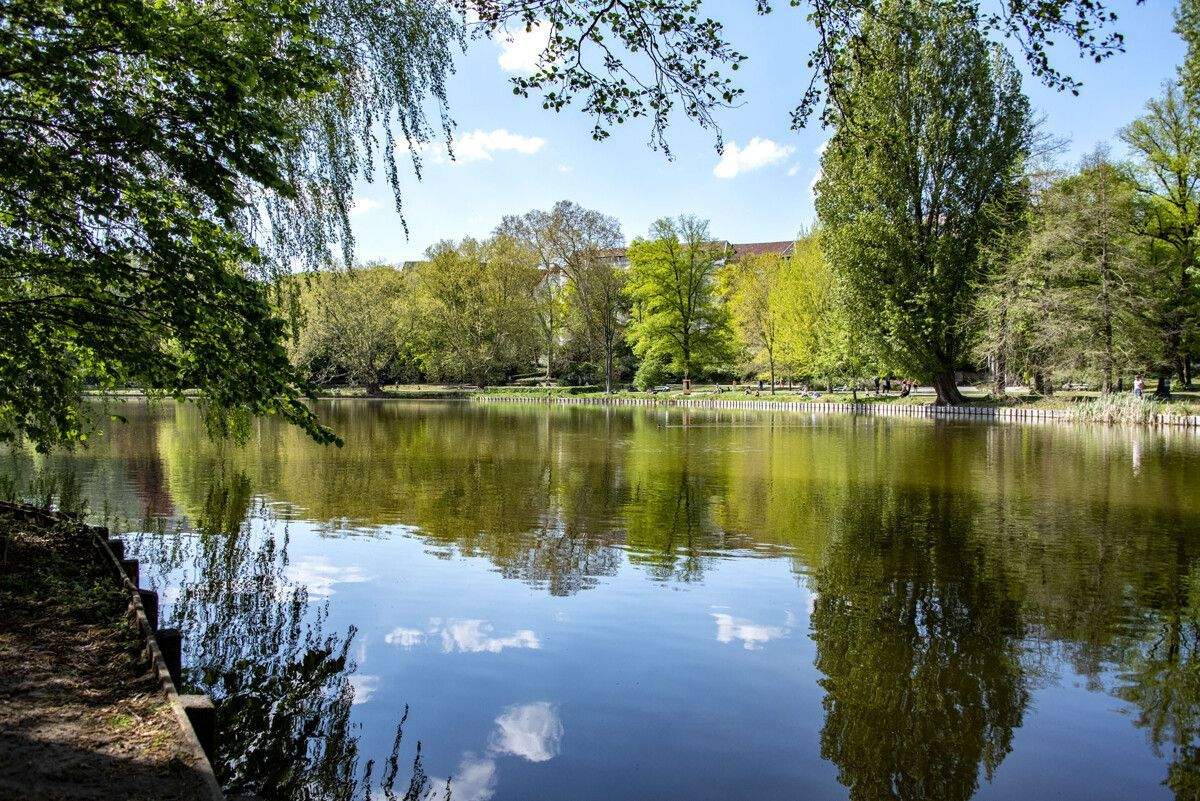 Von der Sonne geküsst, vom Ambiente verwöhnt und vom Lietzensee verzaubert – 14057 Berlin – Vorschaubild 4