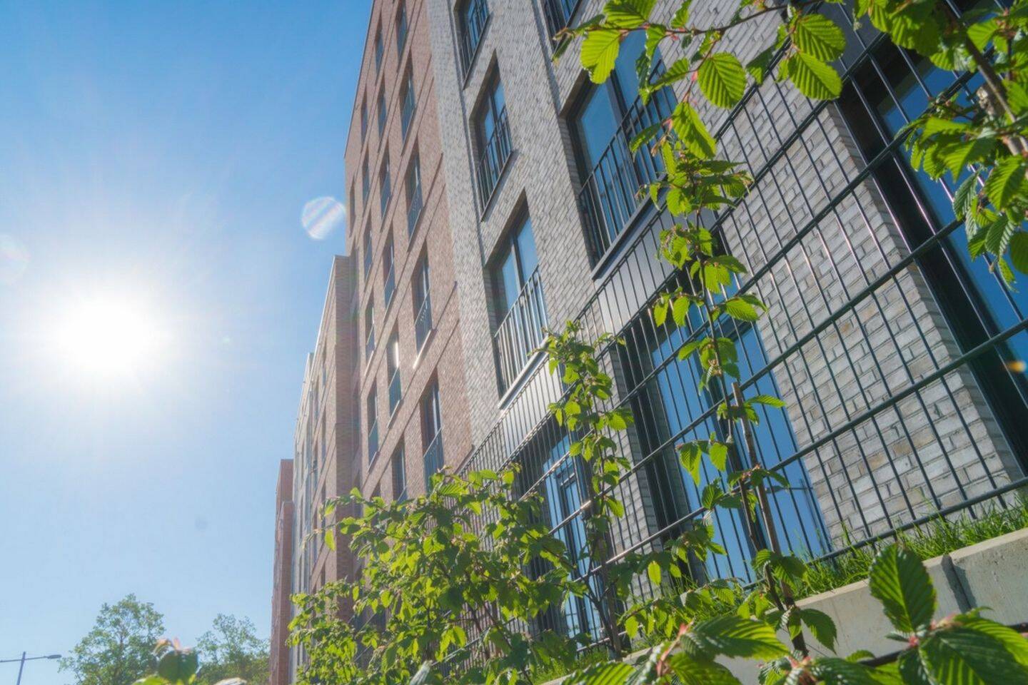 Attraktive 2 ZWG mit Balkon in einer gepflegter Wohnanlage – 22765 Hamburg – Vorschaubild 3