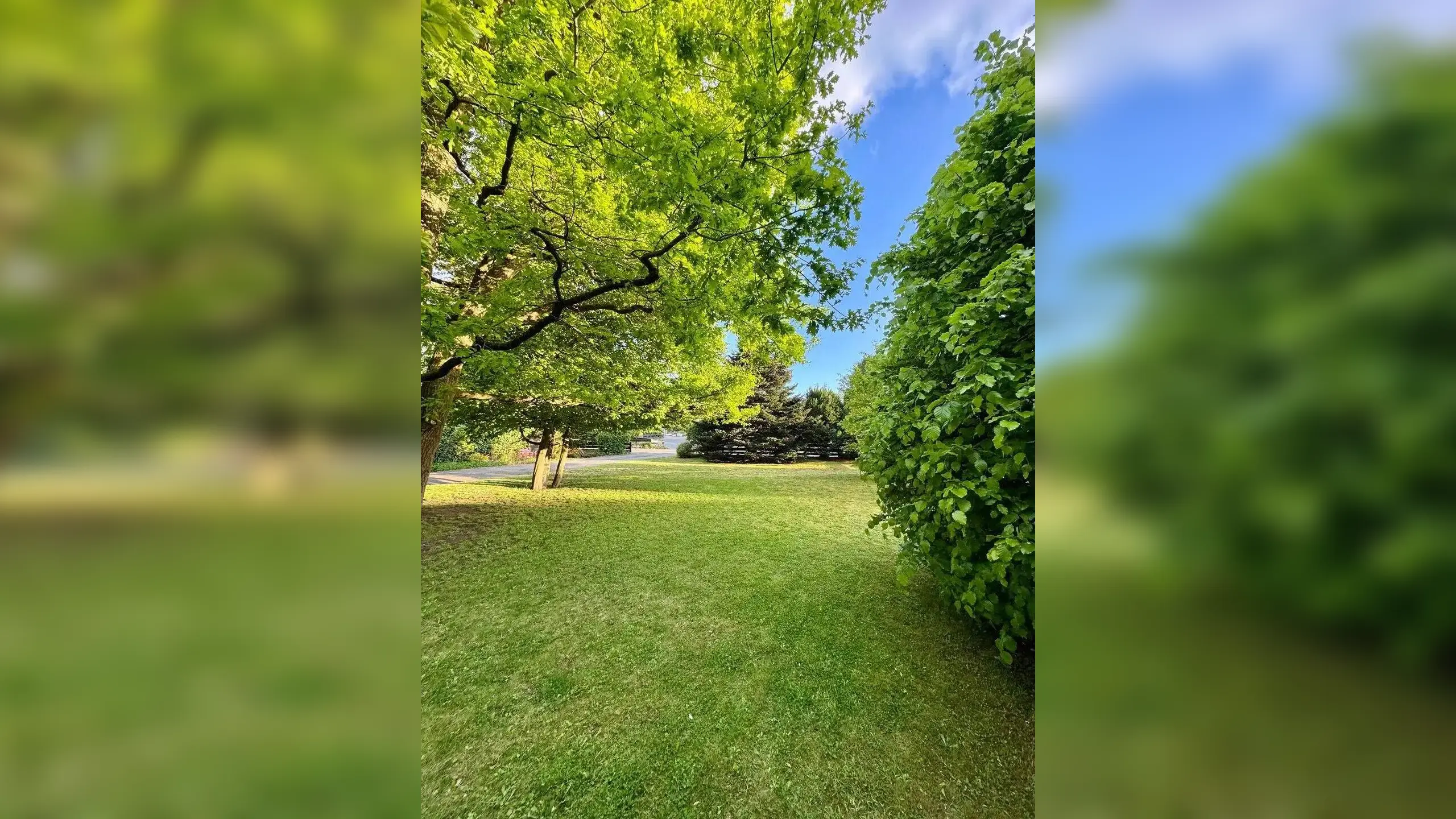 Freistehendes Einfamilienhaus in bester Lage von Wolfsburg-Ehmen, direkt am Wald – 38442 Wolfsburg – Vorschaubild 3