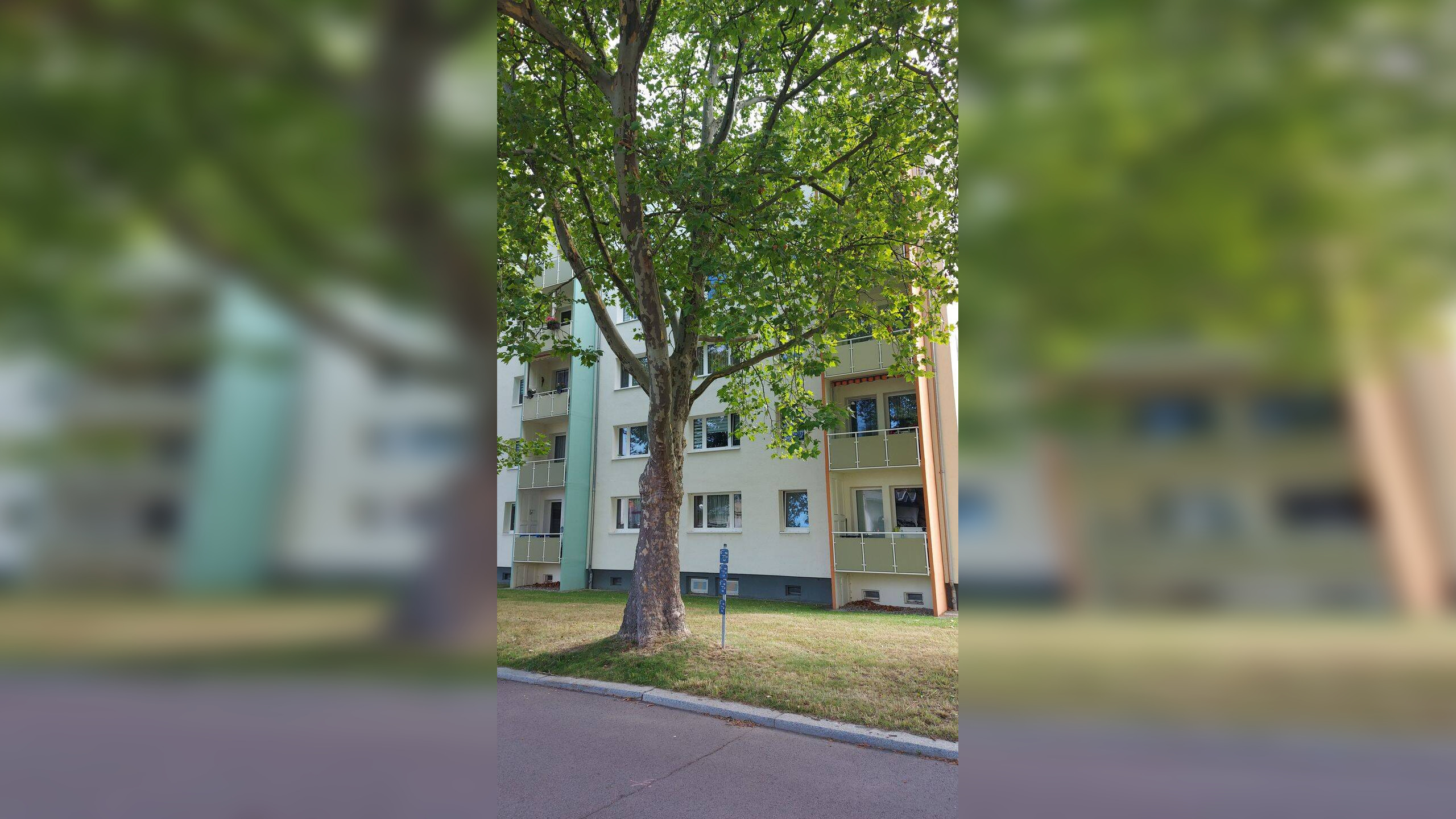 3-Zimmer ETW mit Balkon in Borna – Borna – Vorschaubild 3
