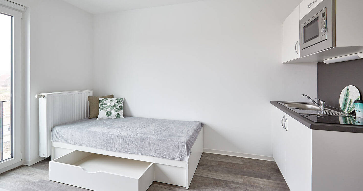 Smartes Studentenapartment zur Miete in Potsdam-Golm – Wentzel Dr. – 14476 Potsdam – Vorschaubild 4