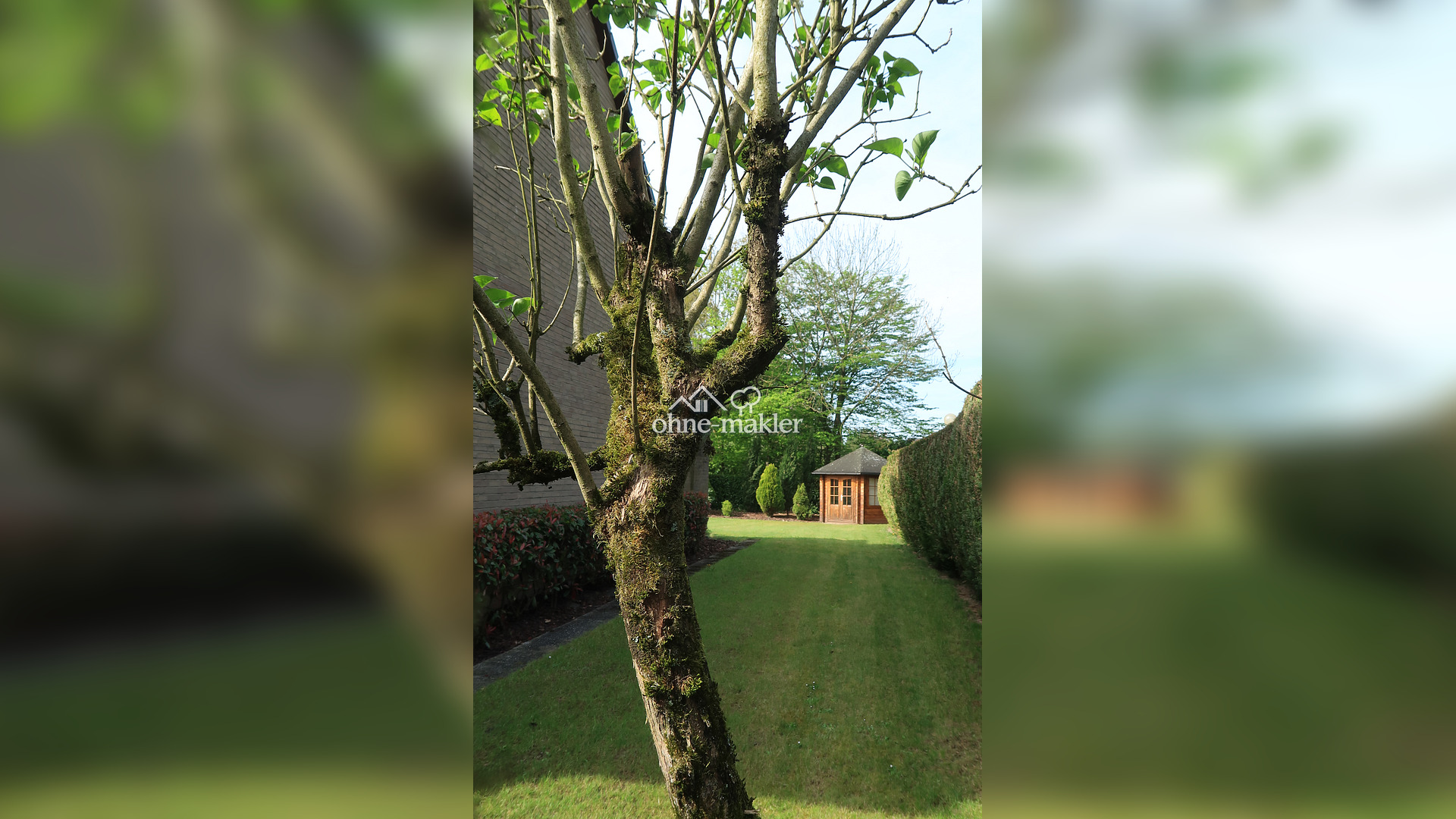 Familienparadies mit Garten in Leverkusen – 51377 Leverkusen – Vorschaubild 19