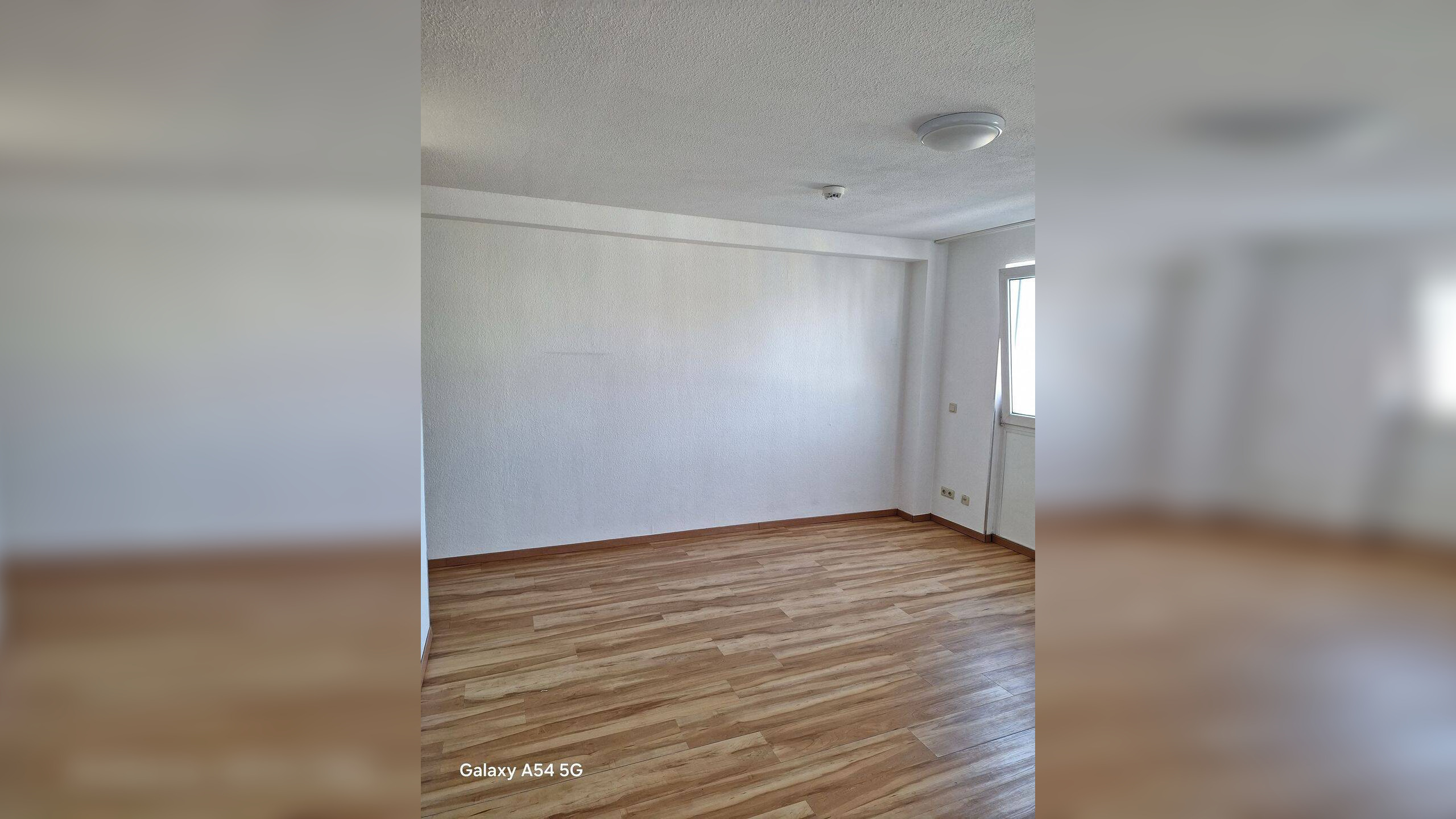 Schönes und  gepflegtes Apartment mit TG-Stellplatz. Ca 30 m² – 54295 Trier – Vorschaubild 3