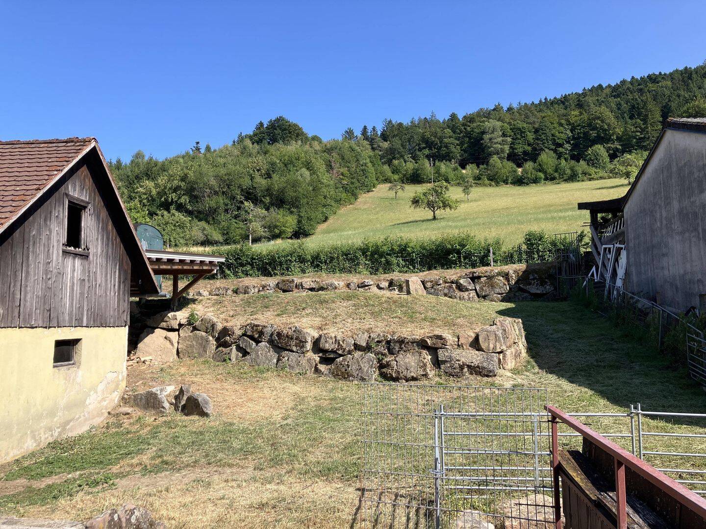 Bild 12