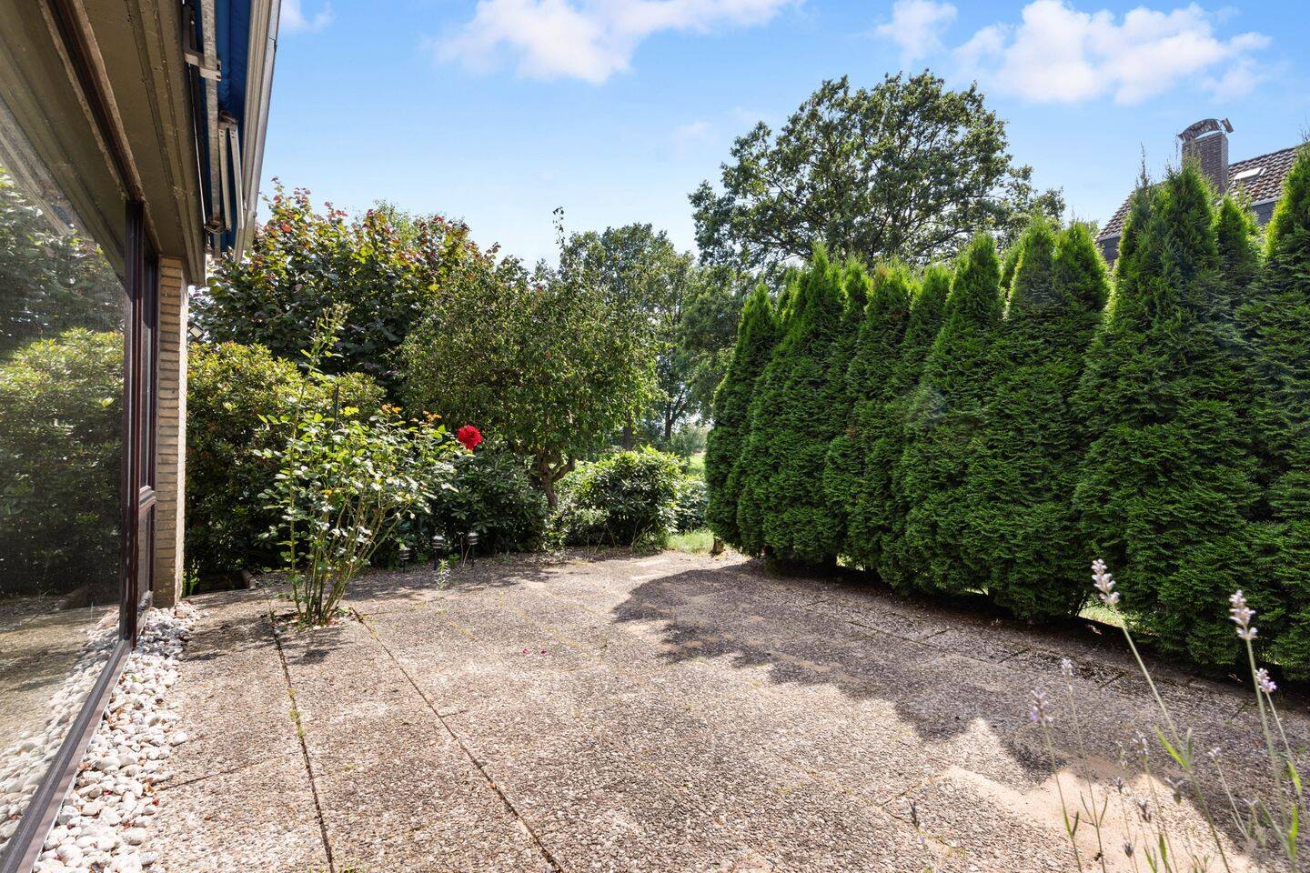 Familienfreundliches Endreihenhaus mit viel Platz und sonniger Terrasse – 22149 Hamburg – Vorschaubild 5