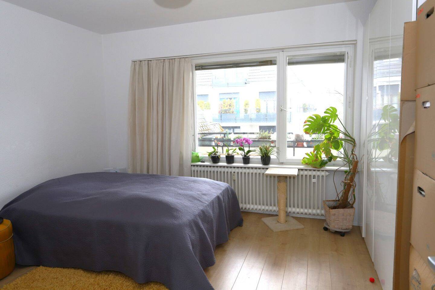 Vermietete 2 Zimmer Wohnung in bester Steglitzer Lage – 12203 Berlin – Vorschaubild 3