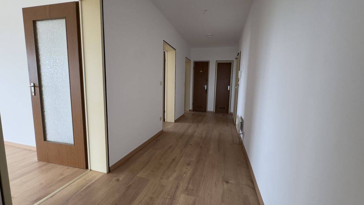(Anfragen nur per eMail) -Ruhige und gepflegte Drei-Zimmer-Küche-Bad Wohnung in Darmstadt-Wixhausen – 64291 Darmstadt – Vorschaubild 6