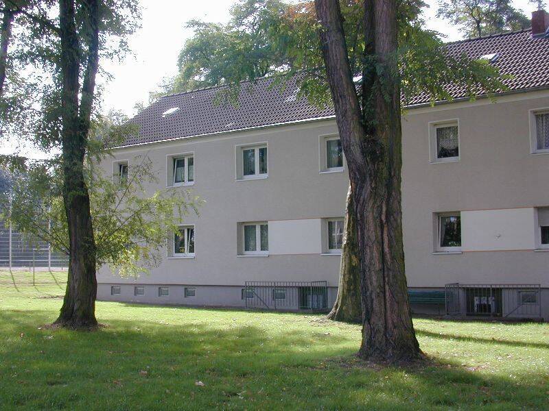 Gute Laune kann man jetzt mieten! VIVAWEST – 45329 Essen – Vorschaubild 3
