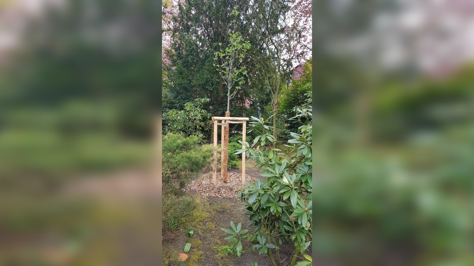 Kernsaniert: Möbliertes Appartement mit Balkon am Feenteich 2400 qm Garten S/W – 22085 Hamburg – Vorschaubild 4