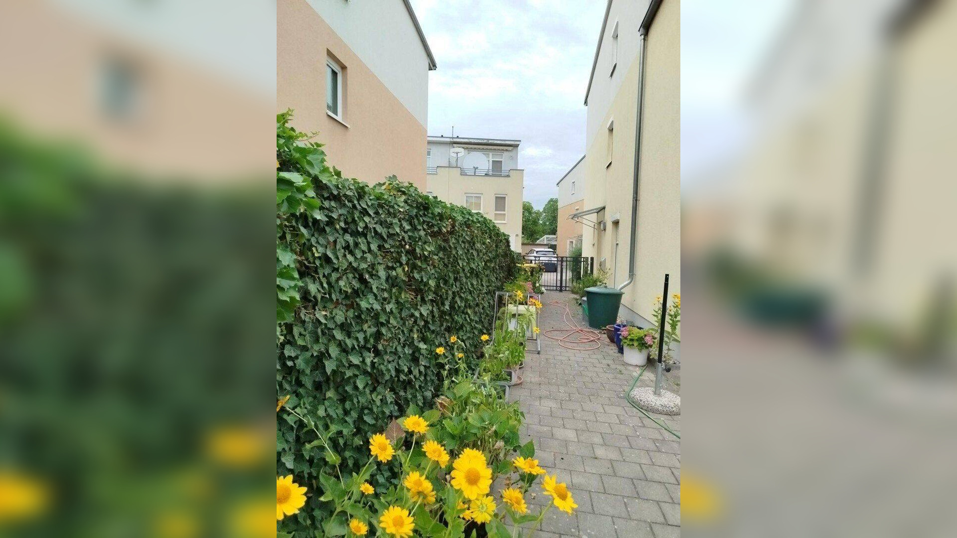 Familienfreundliche moderne DHH in ruhiger Siedlung an der Havel – 13587 Berlin – Vorschaubild 3