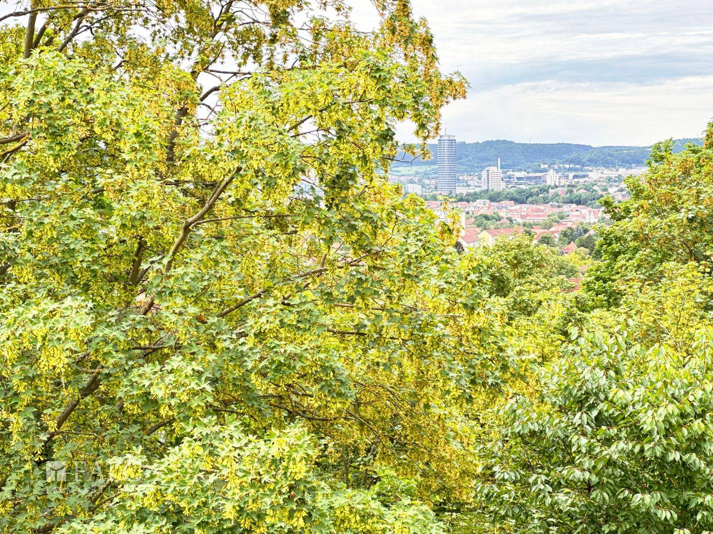 3-Raum-Wohnung mit guter Anbindung, herrlichem Ausblick und günstigem Preis (Kaufpreisfaktor 18,62!) – 7743 Jena – Vorschaubild 3