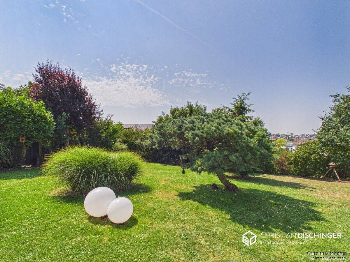 Ein Logenplatz im Grünen – großzügiges Eckhaus mit unverbaubarer Fernsicht – 93055 Regensburg – Vorschaubild 4