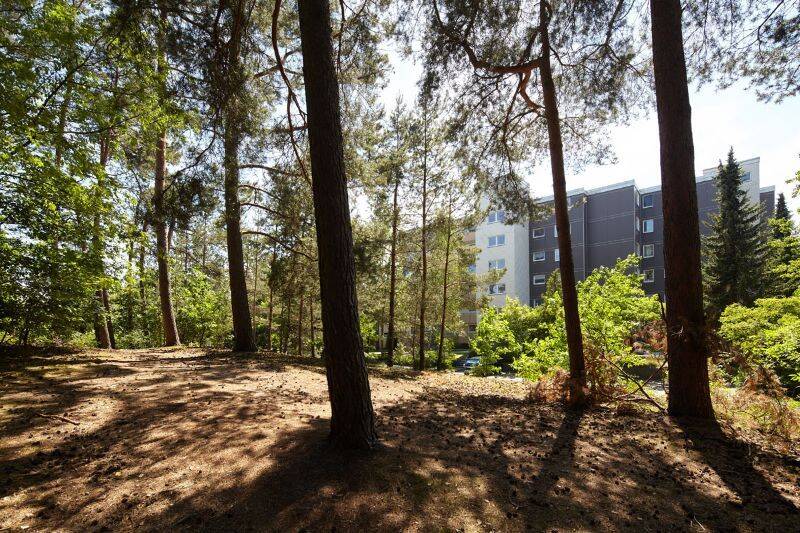 3-Zimmer-Wohnung mit Ausblick – „Freie Scholle eG“ – 33689 Bielefeld – Vorschaubild 3