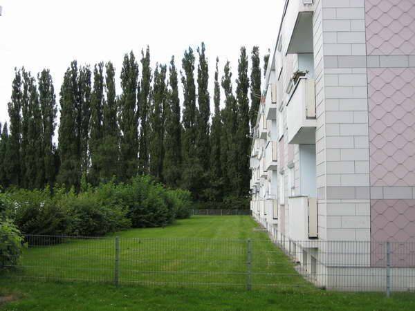 Jetzt schnell sein! Wundervolle 4-Zimmer-Wohnung mit Balkon in ruhiger Lage – 59590 Geseke – Vorschaubild 2