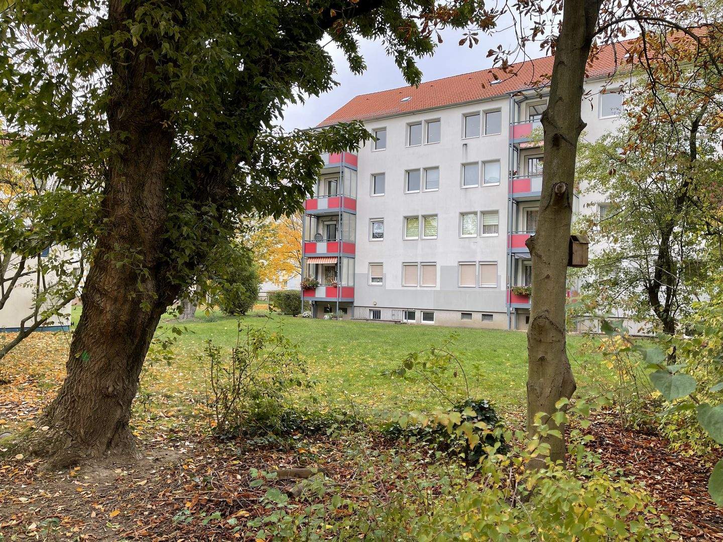 Bild 2