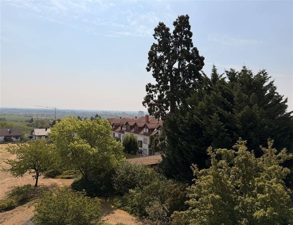 1-Zimmer-Wohnung auf der Haardt mit Weitblick – 67433 Neustadt an der Weinstraße – Vorschaubild 2