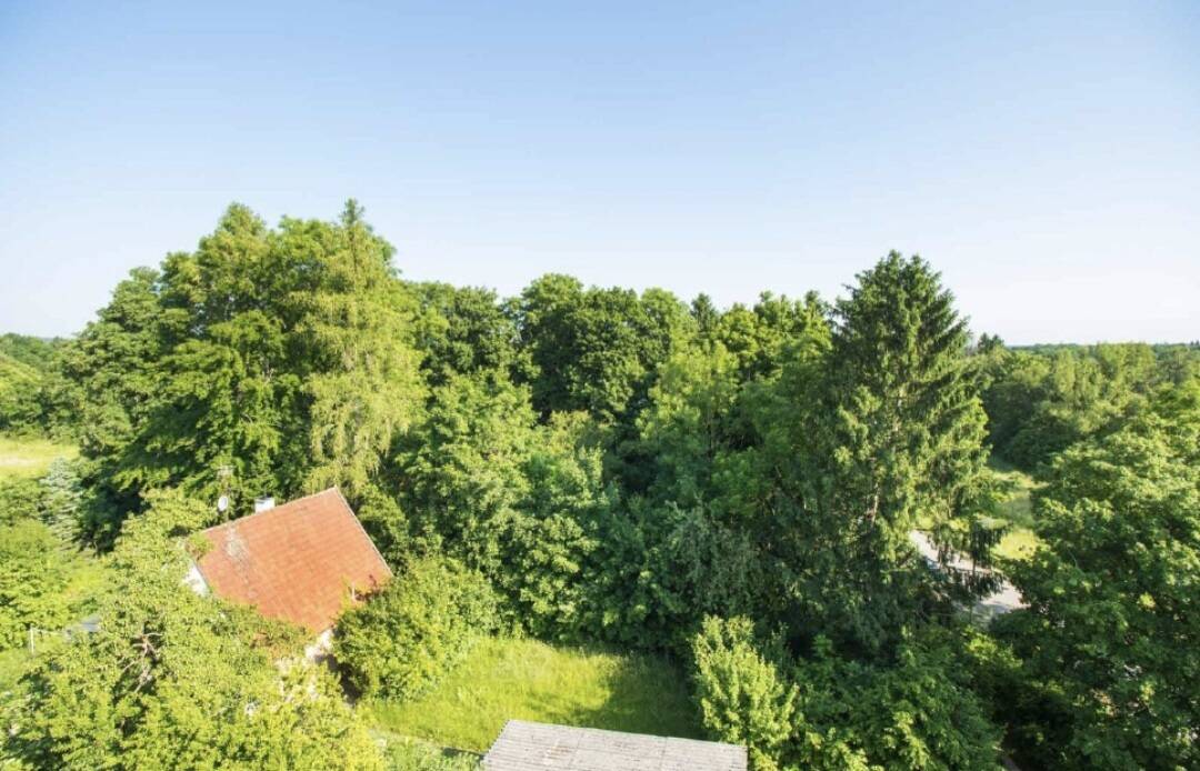 1-Zimmer-Wohnung München | Balkon | Aufzug | A+ saniert | Vermietet | Erbpacht – 81241 München – Vorschaubild 8