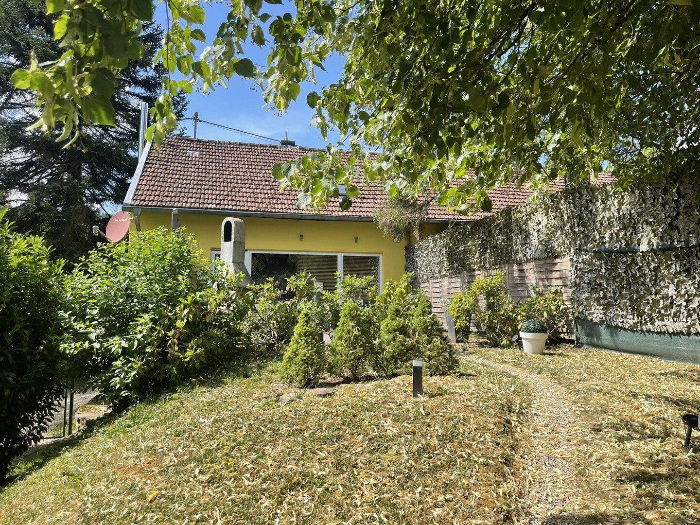 Bild 18