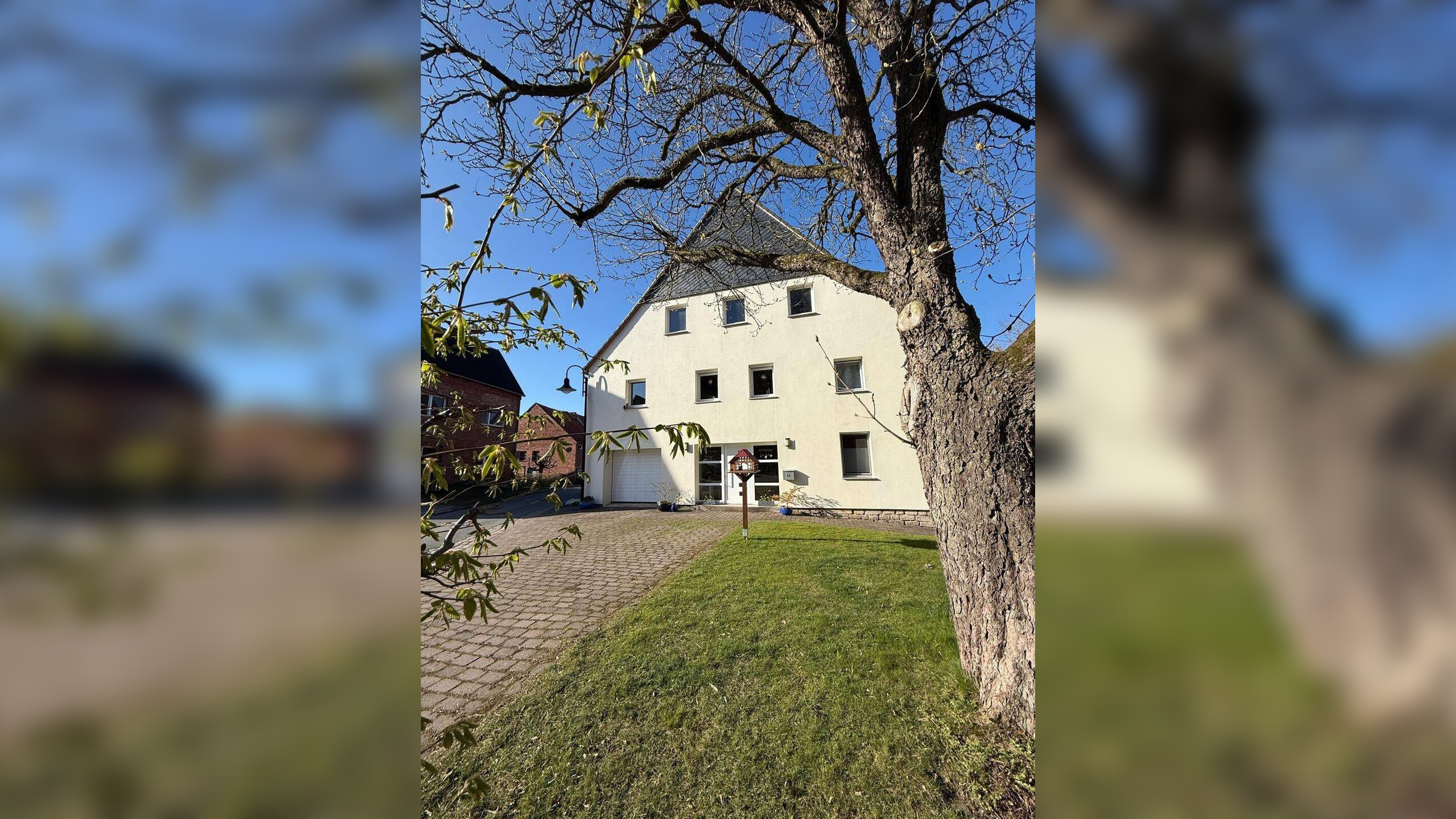 Bild 12