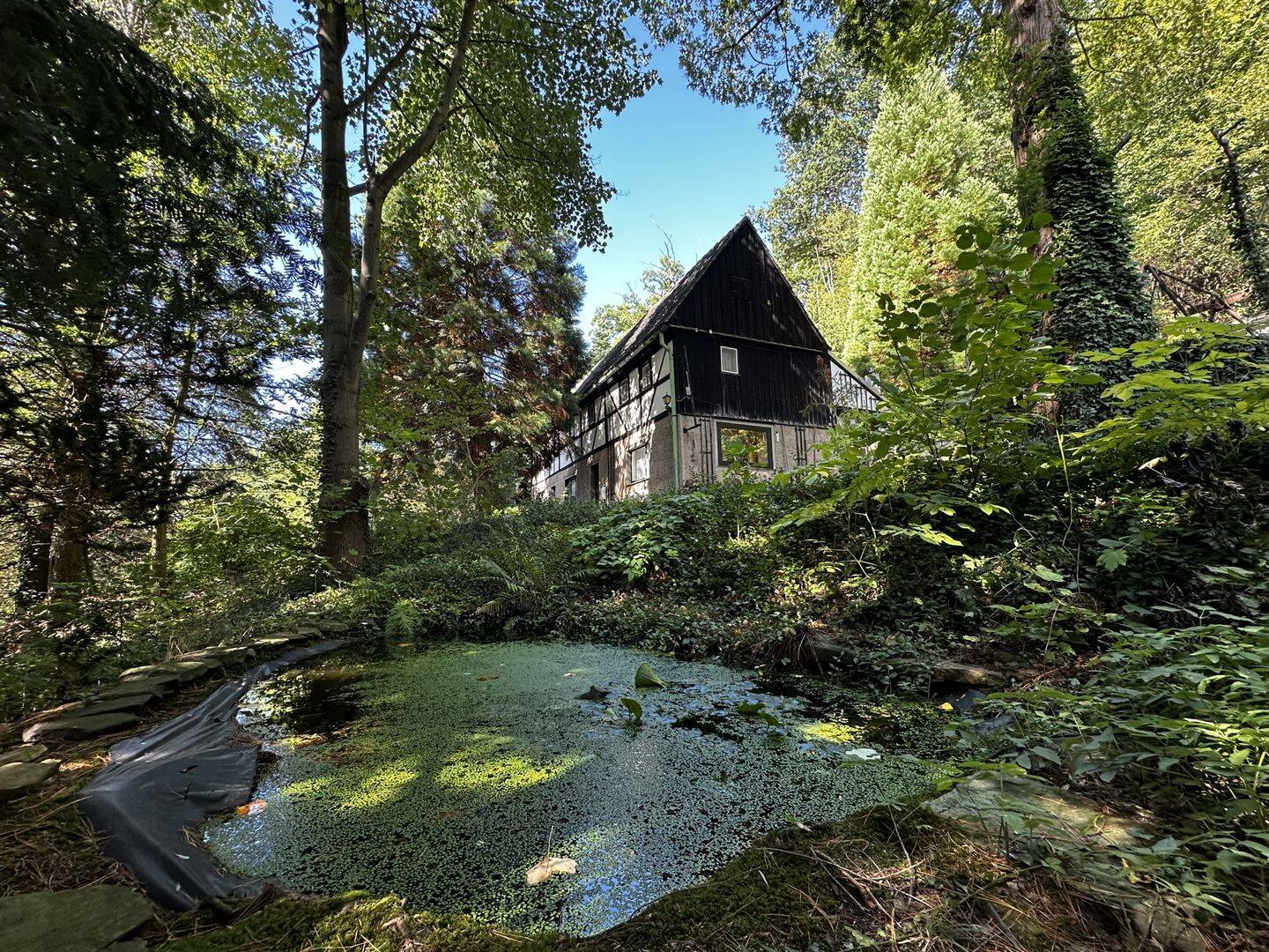 Bild 12