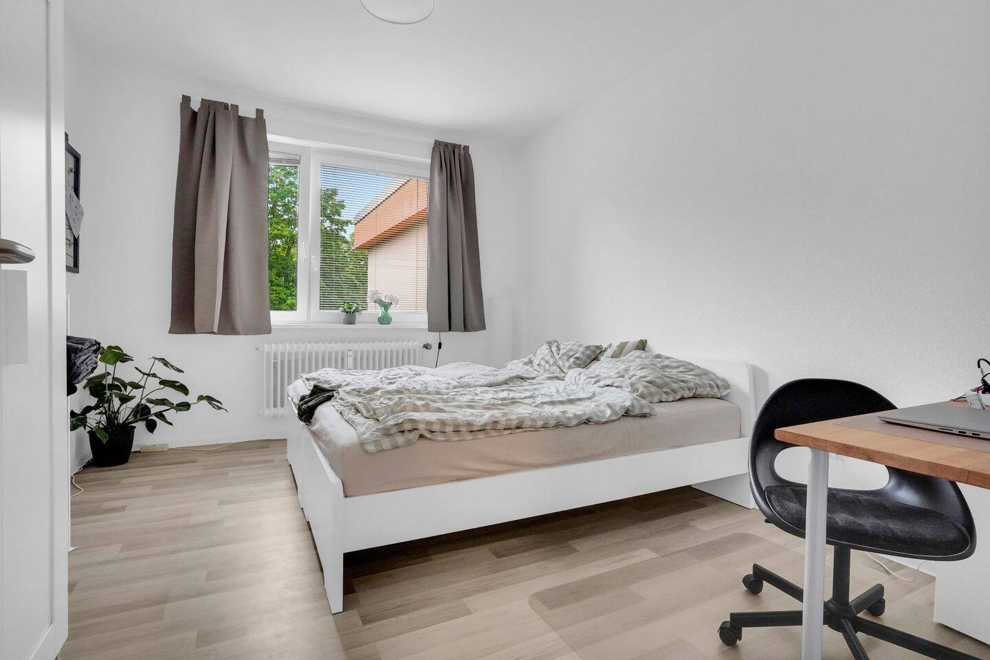 Bild 12